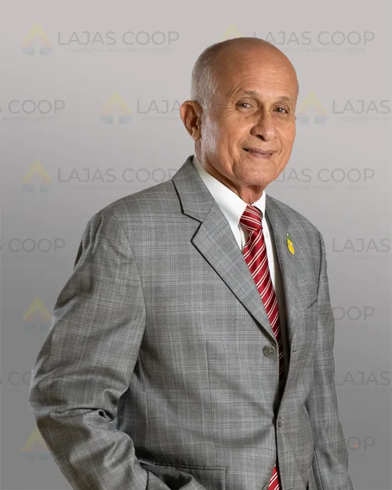 Sr. Ricardo J. Pardo Martínez